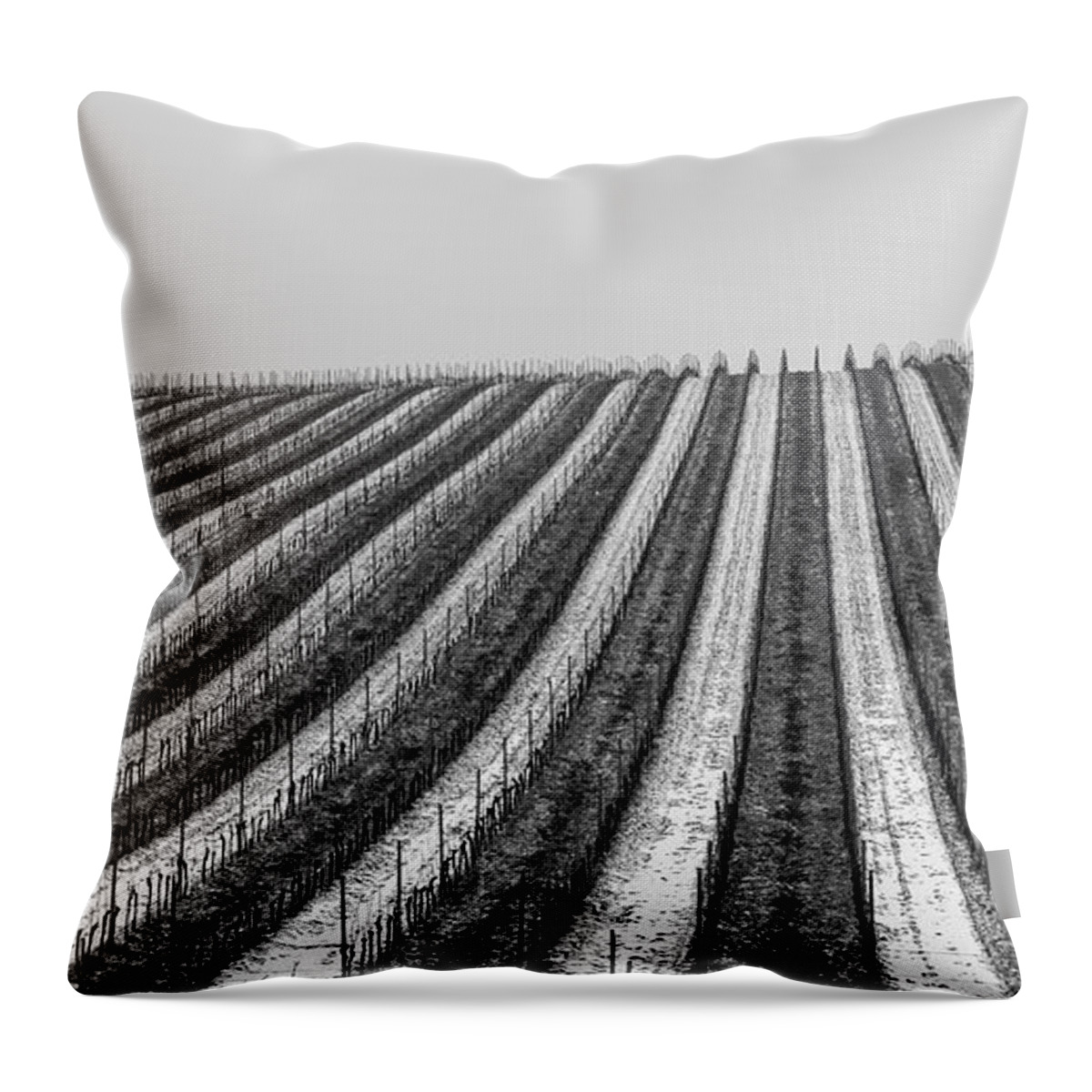 Winter Throw Pillow featuring the photograph Winter in the Vineyard by Martin Vorel Minimalist Photography