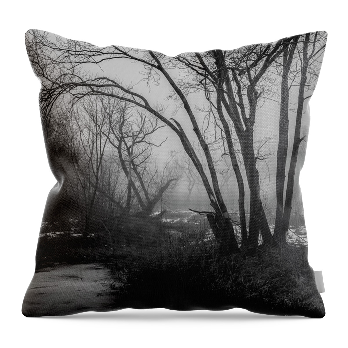 Winter Landscape Throw Pillow featuring the photograph Winter Landscape XI BW by David Gordon