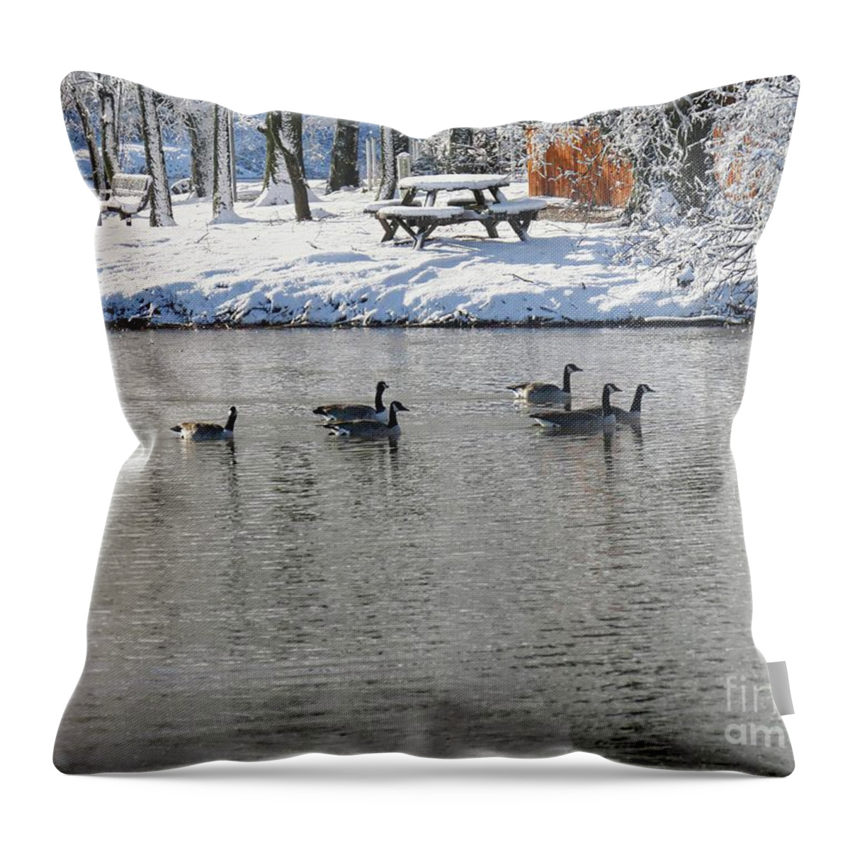 Background Throw Pillow featuring the photograph Winter Picnic by On da Raks