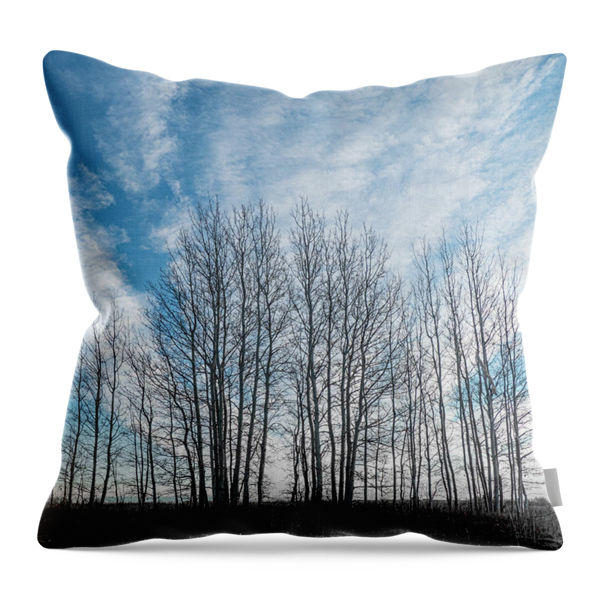 Sky Throw Pillow featuring the photograph Winter poplar bluff and sky by Phil And Karen Rispin