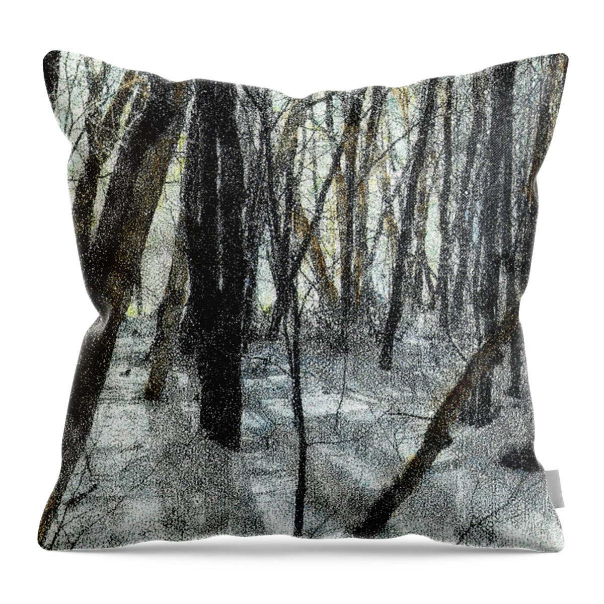 Winter Throw Pillow featuring the photograph Winter Shadows by Wayne King