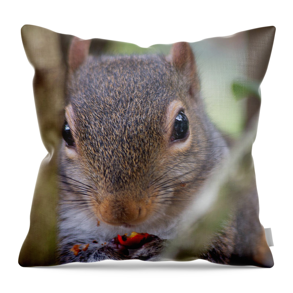 Mammal Throw Pillow featuring the photograph Winter Snack by Gina Fitzhugh
