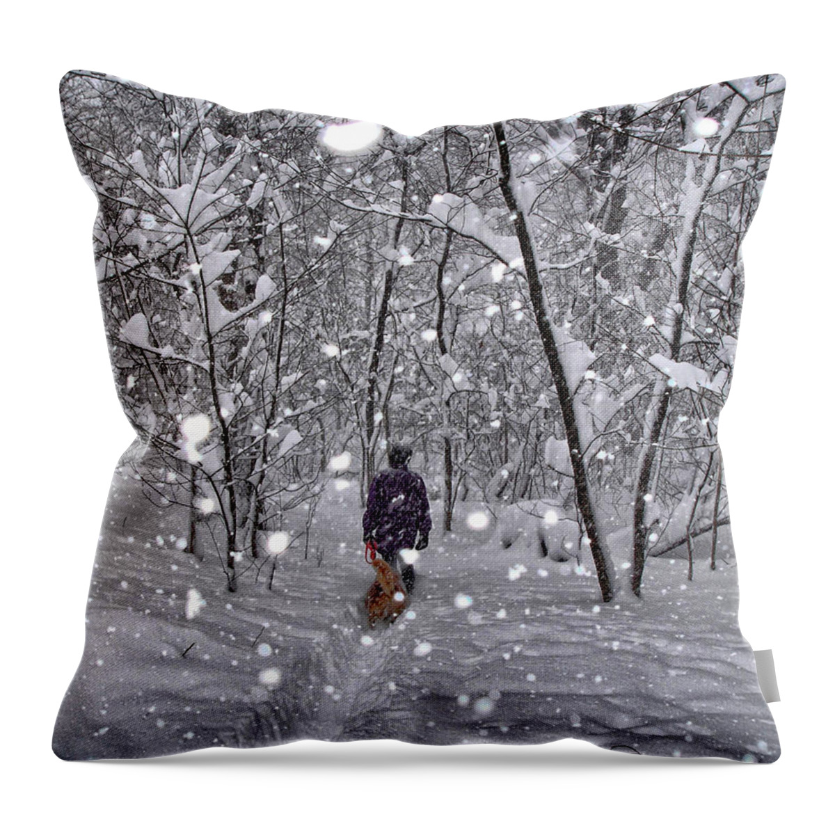 Dog Throw Pillow featuring the photograph Winter Snow In Woods by Russel Considine