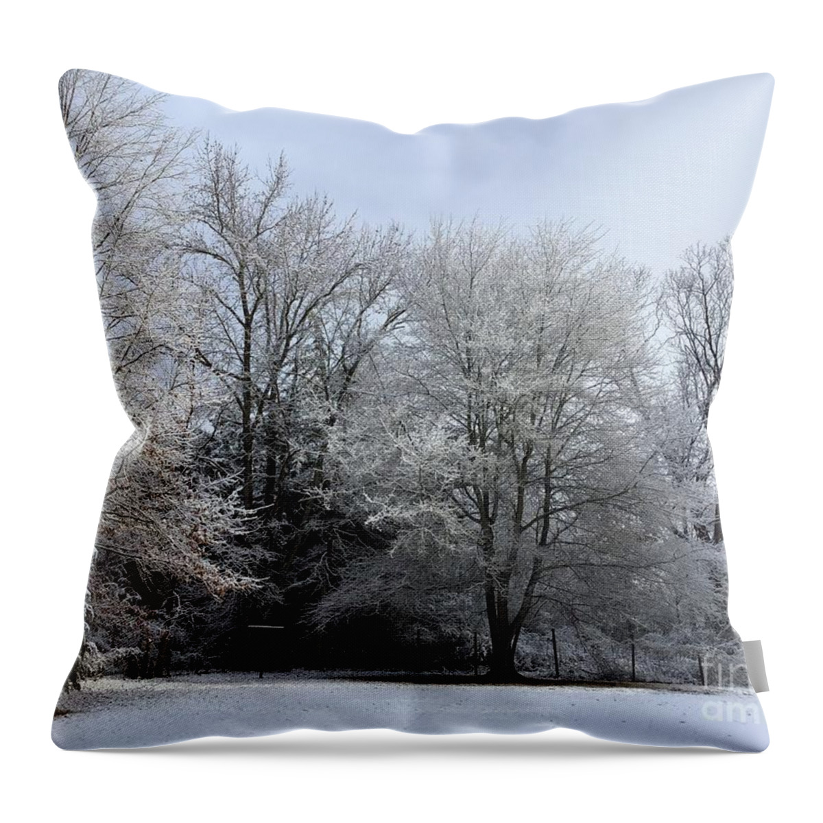 Trees Throw Pillow featuring the photograph Winter Snowscape by Catherine Wilson