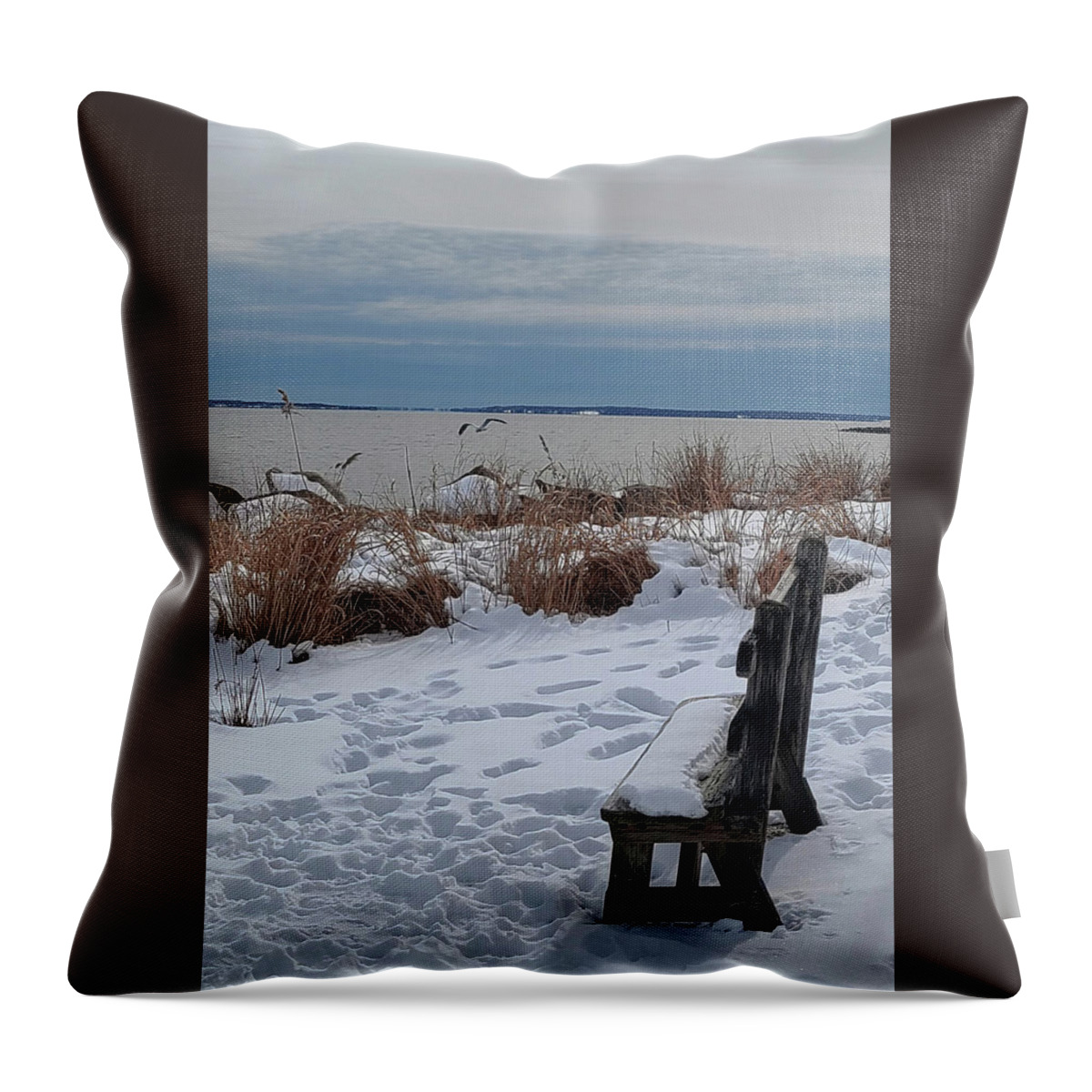 Winter Solitude Throw Pillow featuring the photograph Winter Solitude by Christina McGoran