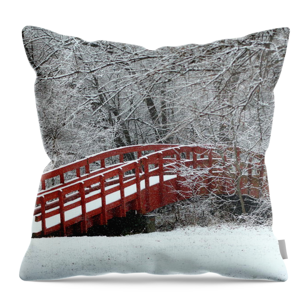 Red Throw Pillow featuring the photograph Winter Solitude by Lens Art Photography By Larry Trager