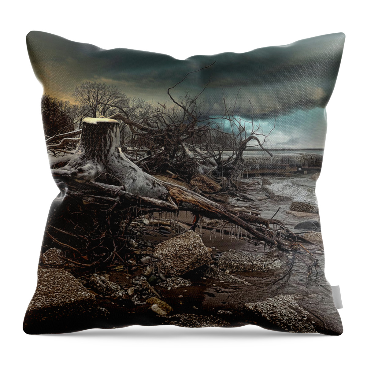 Winter Throw Pillow featuring the photograph Winter Storm Debris  by Scott Olsen