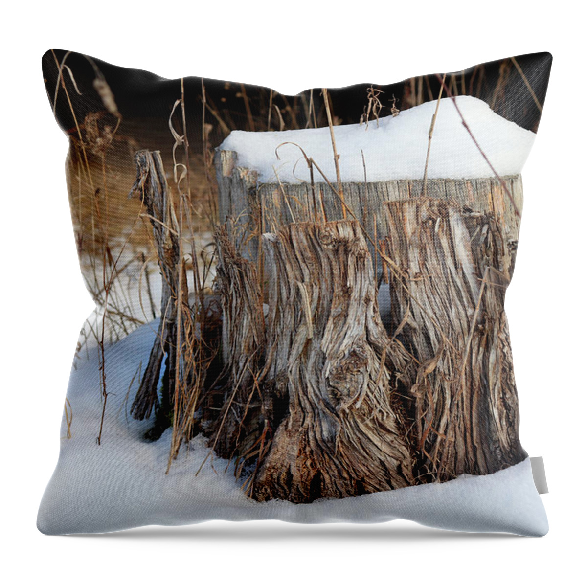 Tree Stump Throw Pillow featuring the photograph Winter Stump by David T Wilkinson