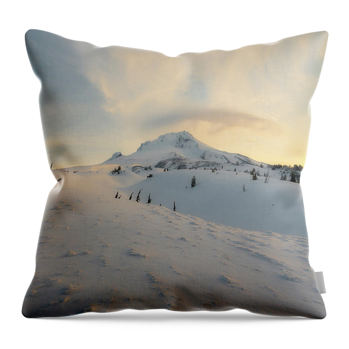 Spring Throw Pillow featuring the photograph Winter Textures by Ryan Manuel