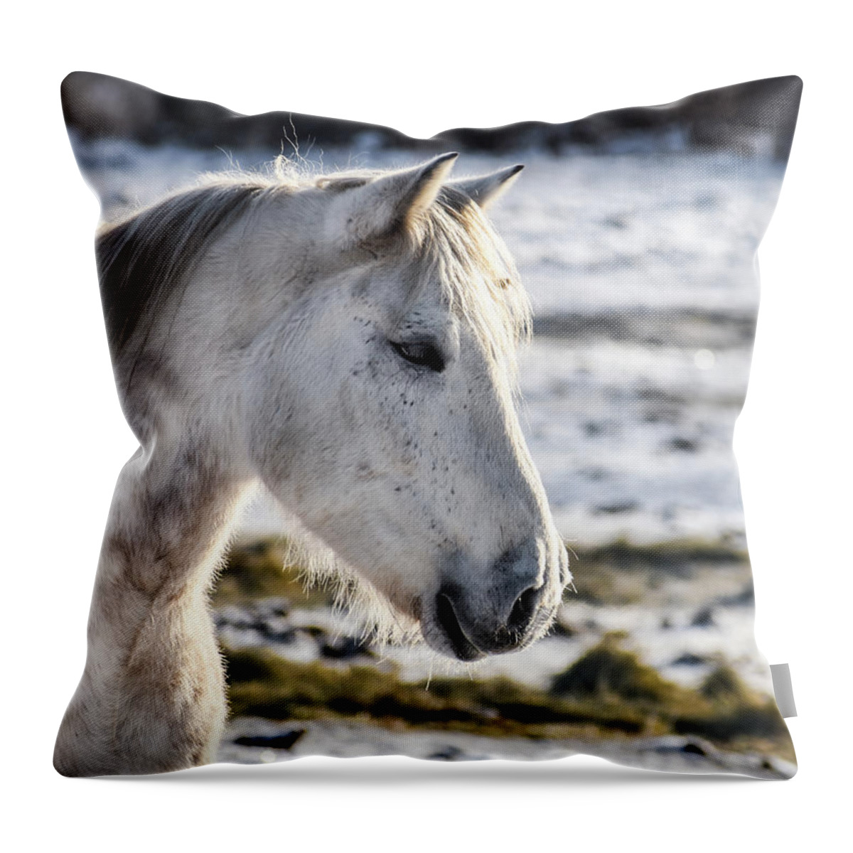Winter Throw Pillow featuring the photograph Winter Thoughts by Listen To Your Horse