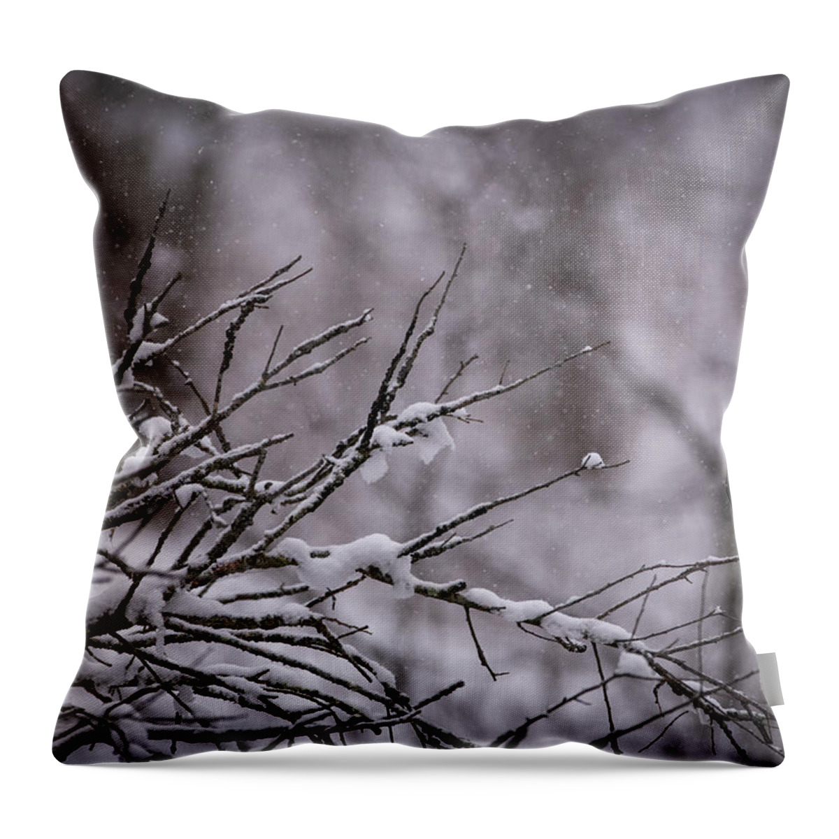 Photo Throw Pillow featuring the photograph Winter Through the Branches by Evan Foster