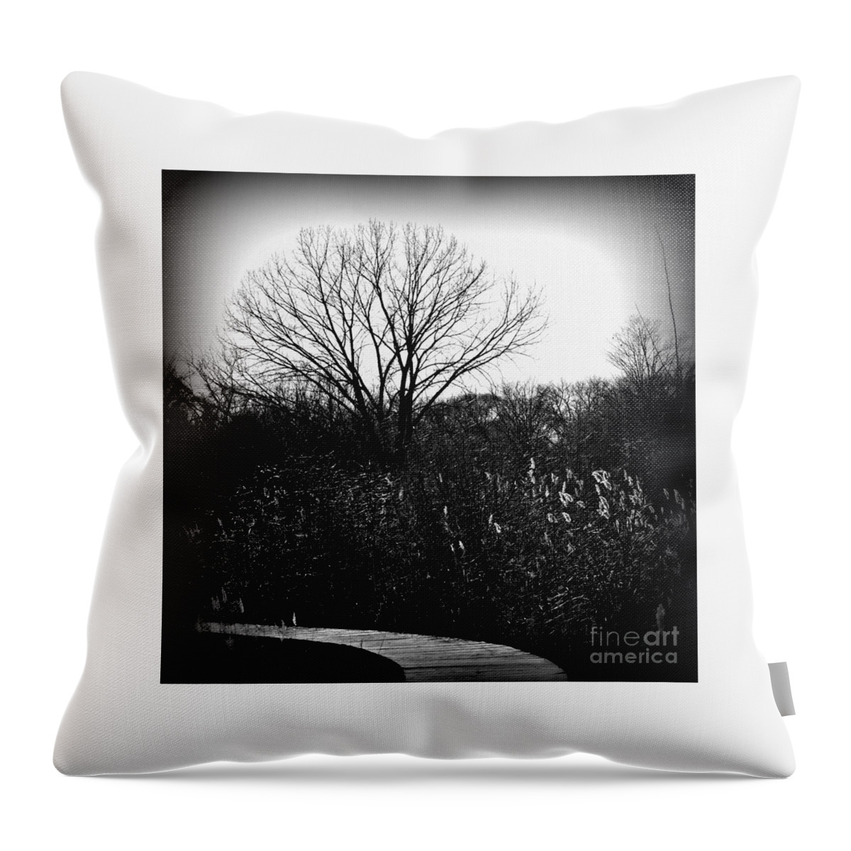 Tree Throw Pillow featuring the photograph Winter Tree And Bridge At Homewood Izaak Walton Preserve - Holga by Frank J Casella