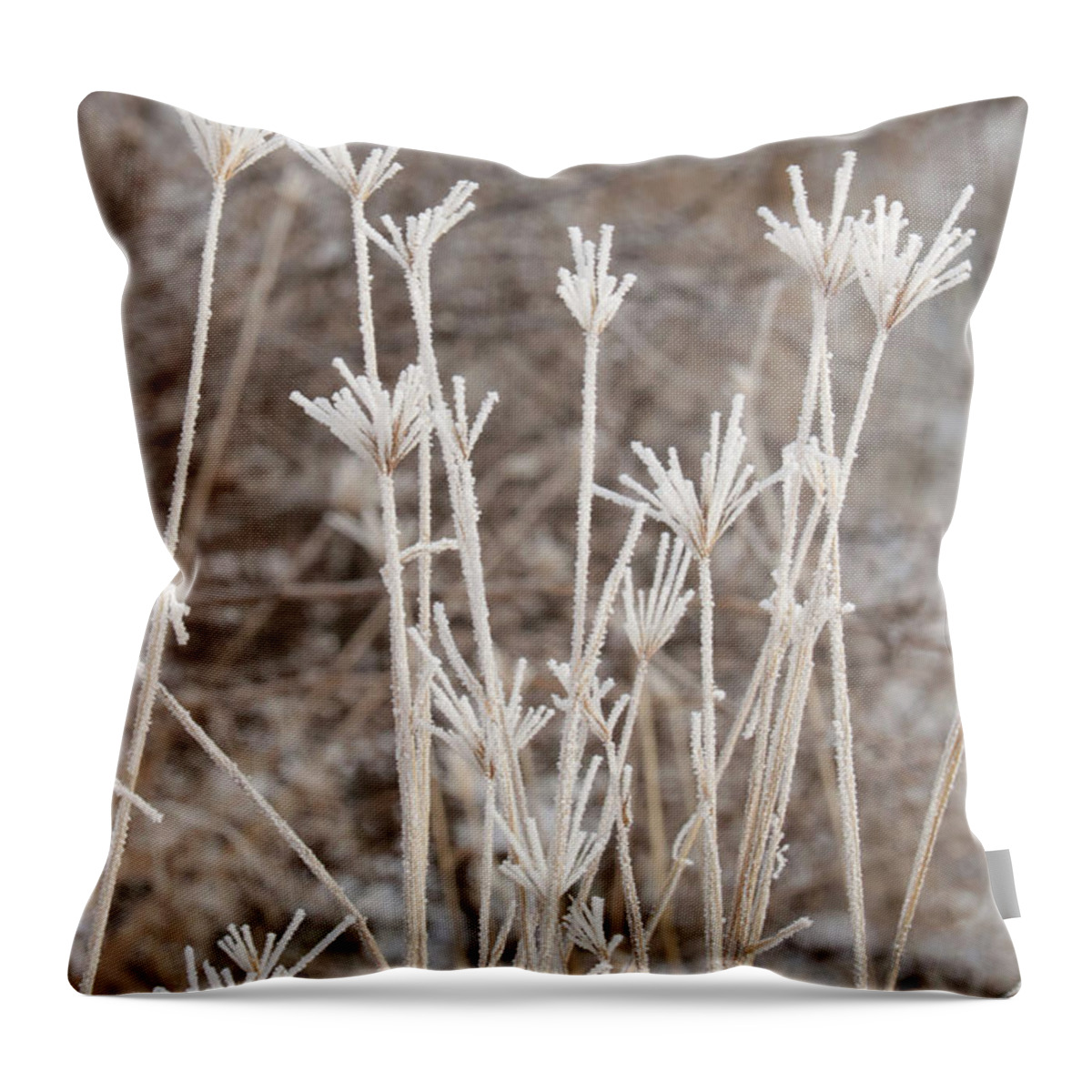 Tan Throw Pillow featuring the photograph Winter Warm Colors with Frost by Carol Groenen