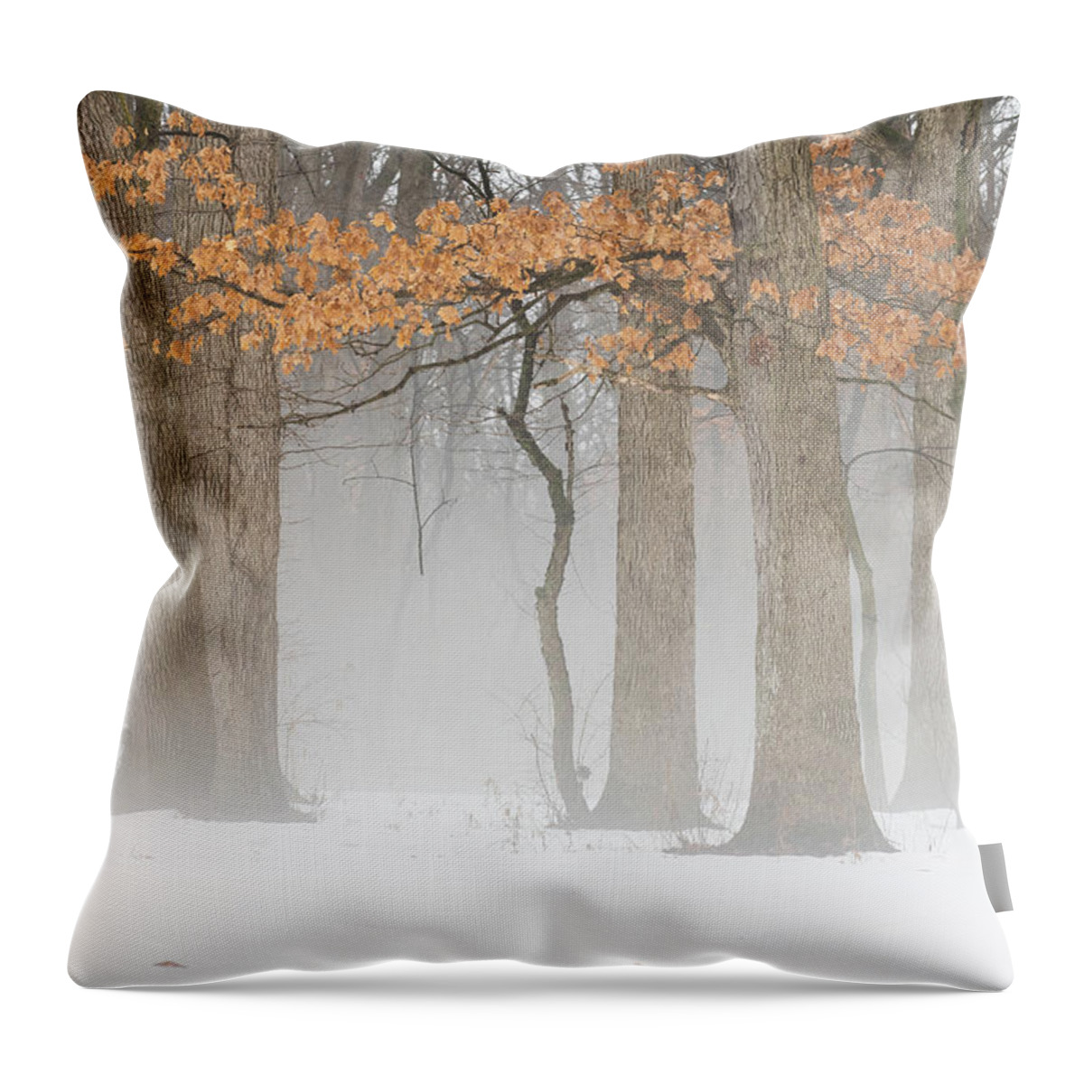 Winter Throw Pillow featuring the photograph Winter's End by Forest Floor Photography