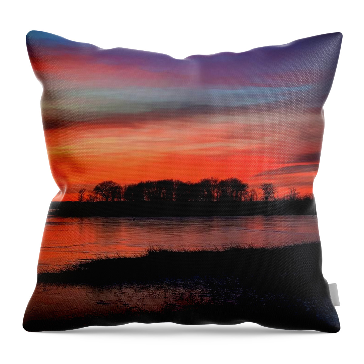 Tree Silhouettes Throw Pillow featuring the photograph WinterSilhouettes at Sunset by Pam Rendall