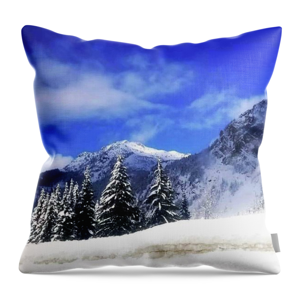 Winter Throw Pillow featuring the photograph Wintery Blue Skies by Cherie Duran