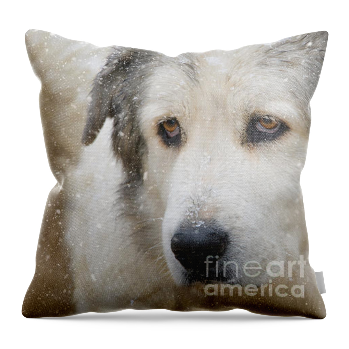 Great Pyrenees Throw Pillow featuring the photograph Wintry Nose by Lisa Manifold