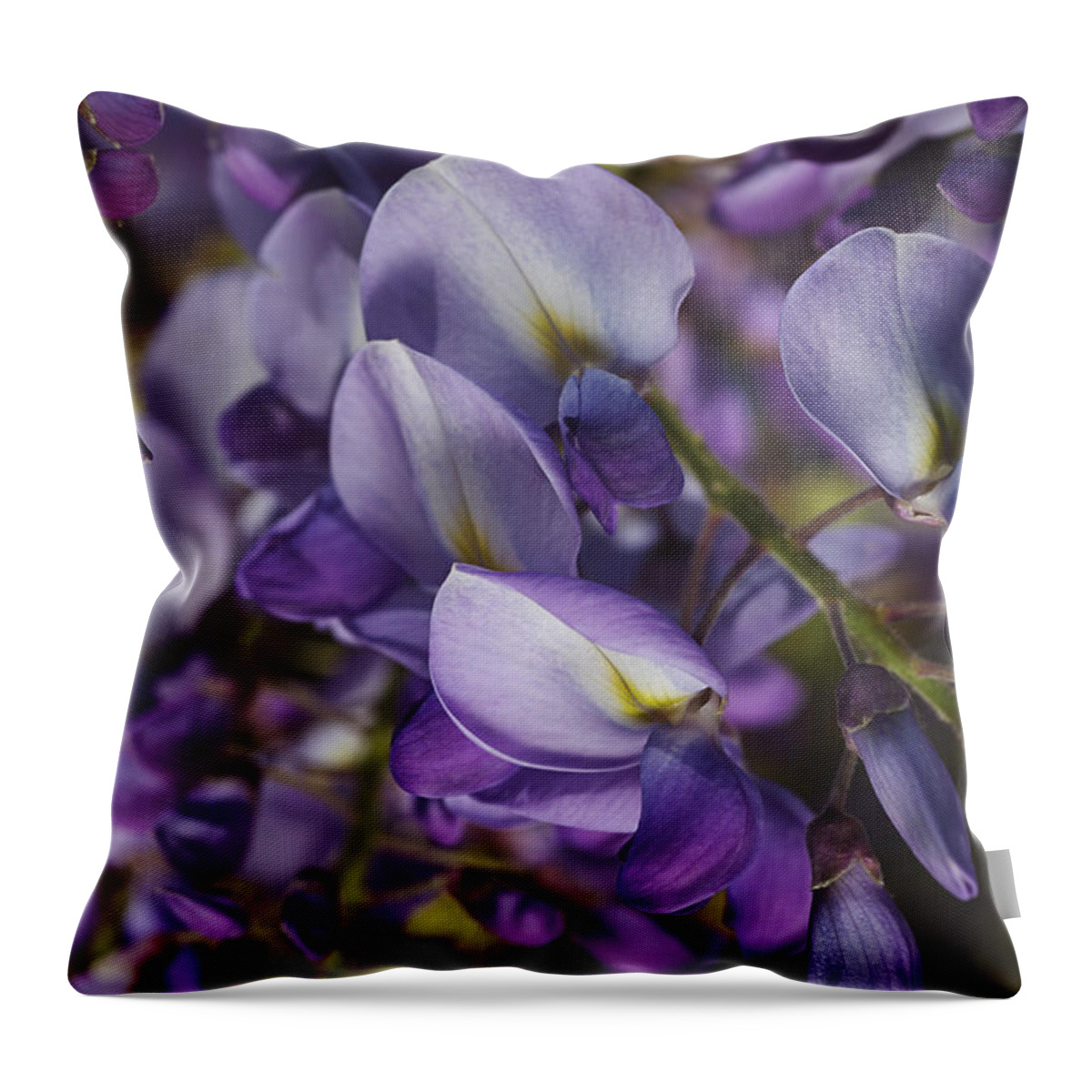Acanthaceae Throw Pillow featuring the photograph Wisteria Grace by Joy Watson