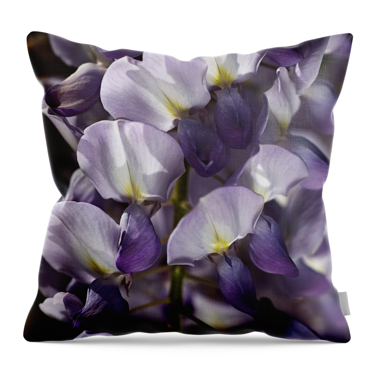Acanthaceae Throw Pillow featuring the photograph Wisteria In Spring by Joy Watson
