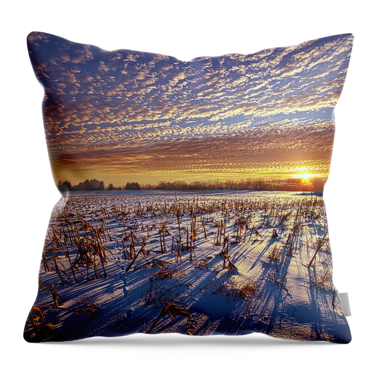 Fineart Throw Pillow featuring the photograph With Each Day by Phil Koch