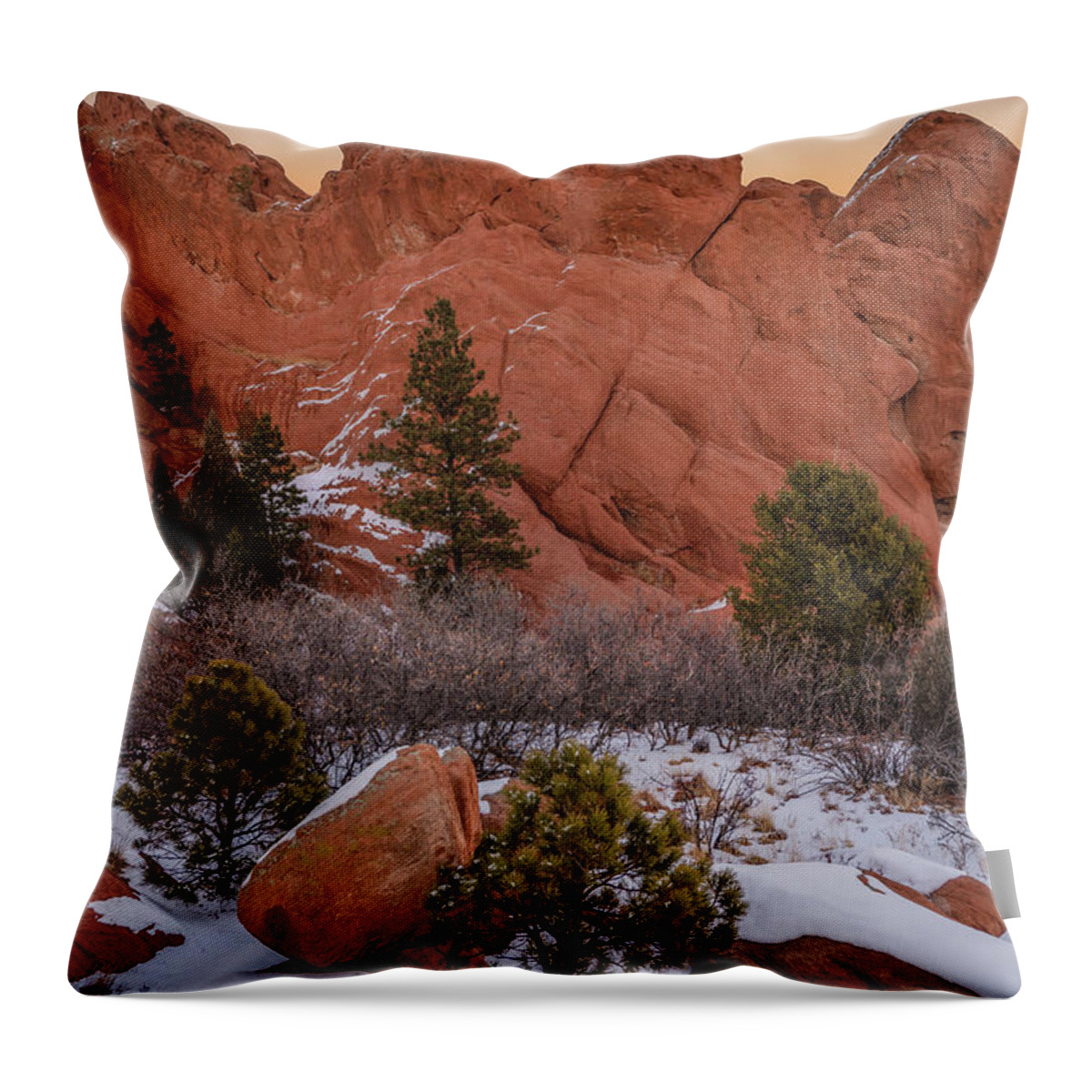 Wolf Moon Throw Pillow featuring the photograph Wolf in the Garden by Darren White