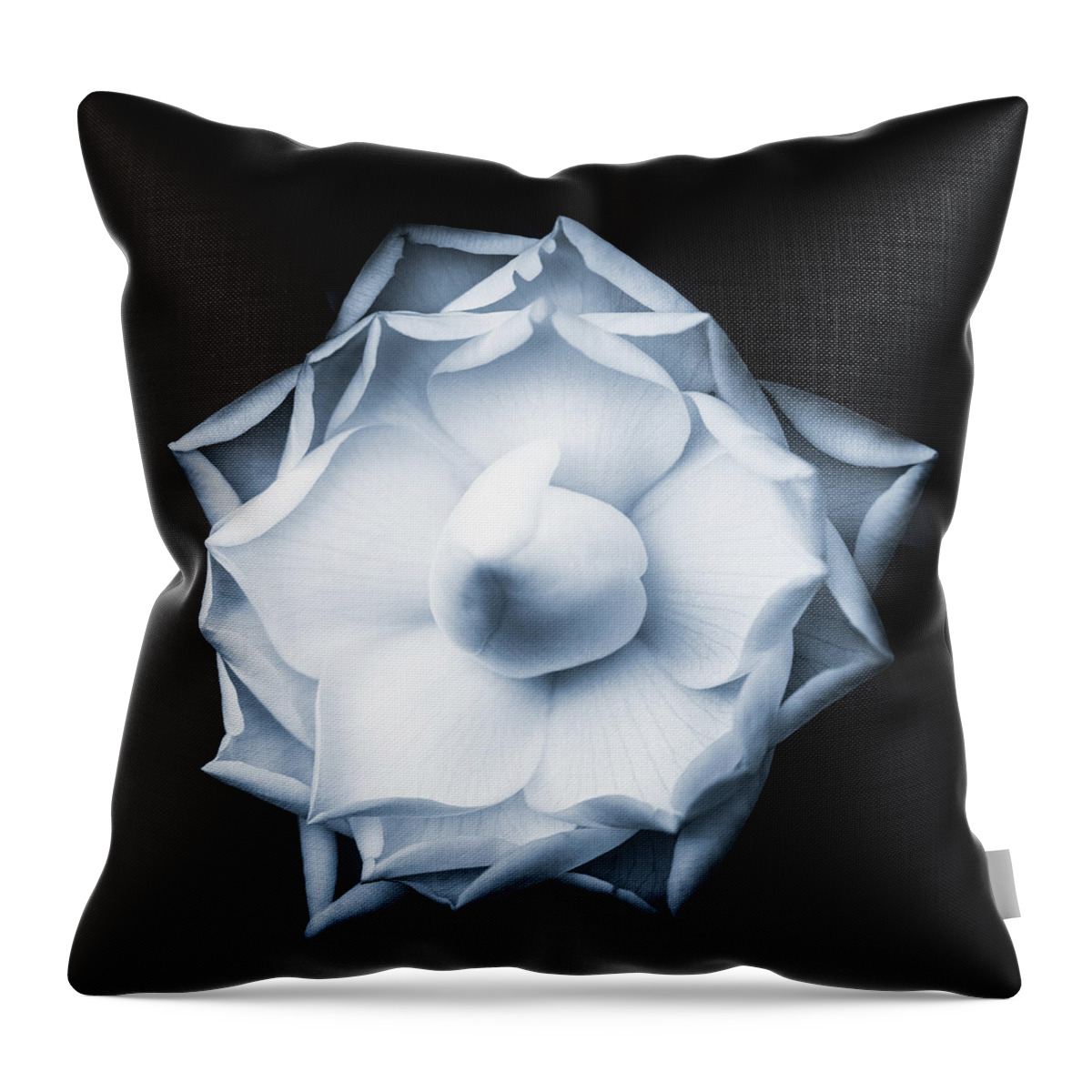 Camelia Throw Pillow featuring the photograph Wonderful Birth by Philippe Sainte-Laudy