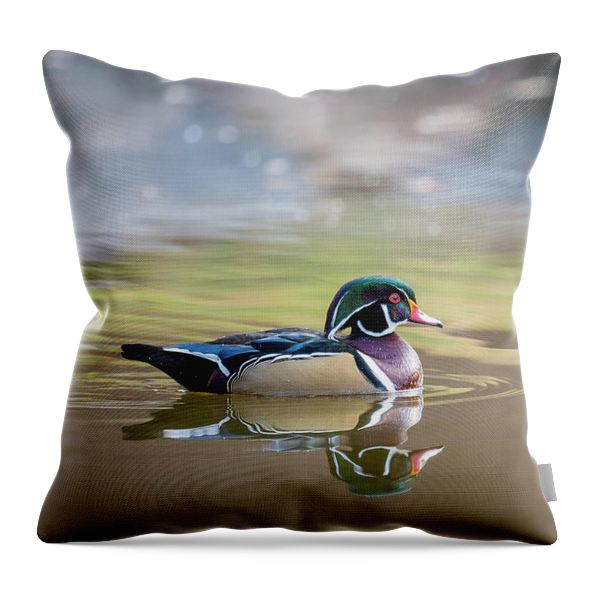 Wood Duck Throw Pillow featuring the photograph Wood duck 1 by Stephen Holst