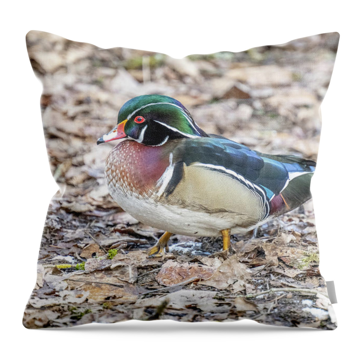 Wood Duck Throw Pillow featuring the photograph Wood Duck in the Leaves by Jerry Cahill