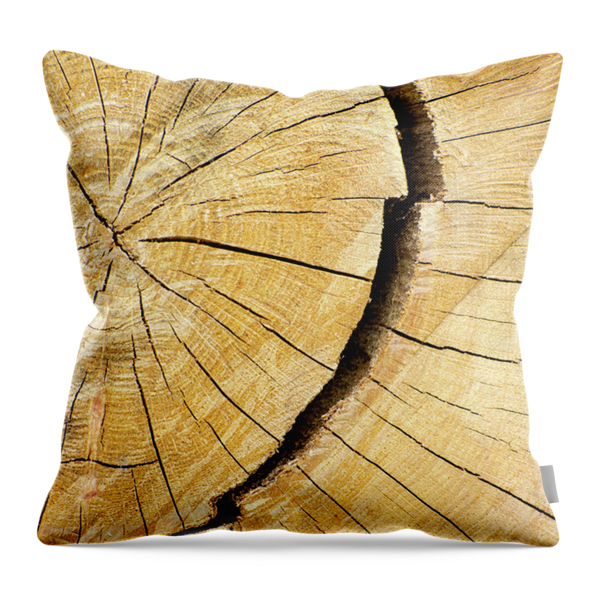 Wood Grain Throw Pillow featuring the photograph Wood Grain Split Log Fresh Cut by Christina Rollo