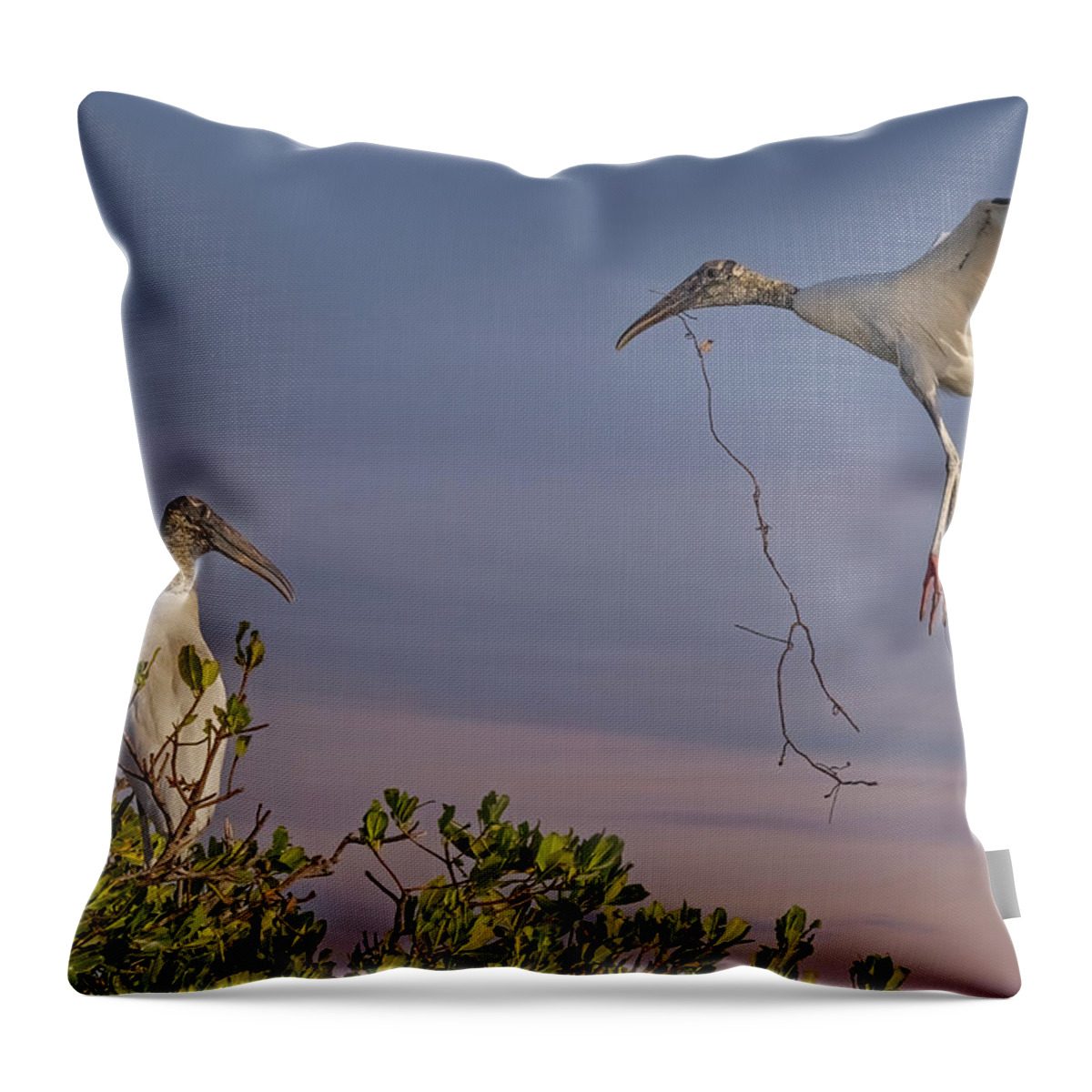 Wood Stork Throw Pillow featuring the photograph Wood Stork Returns To Nest by Susan Candelario