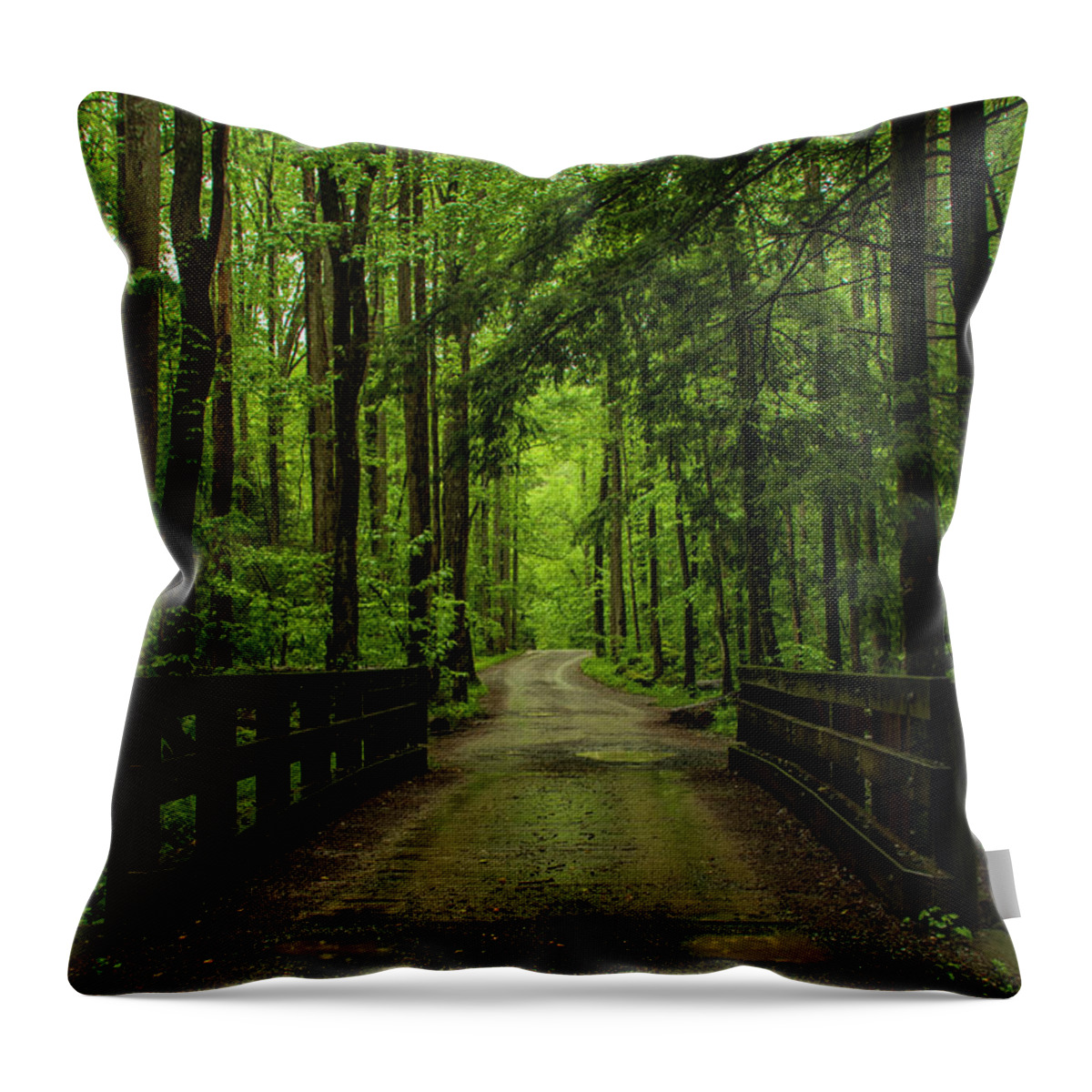 Great Smoky Mountains National Park Throw Pillow featuring the photograph Wooded Path by Melissa Southern