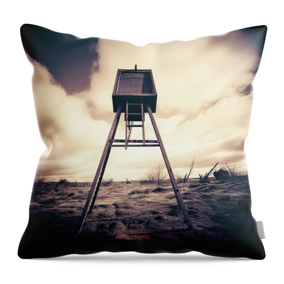 Bat Throw Pillow featuring the digital art Wooden Box on High Stand Pinhole Image by YoPedro