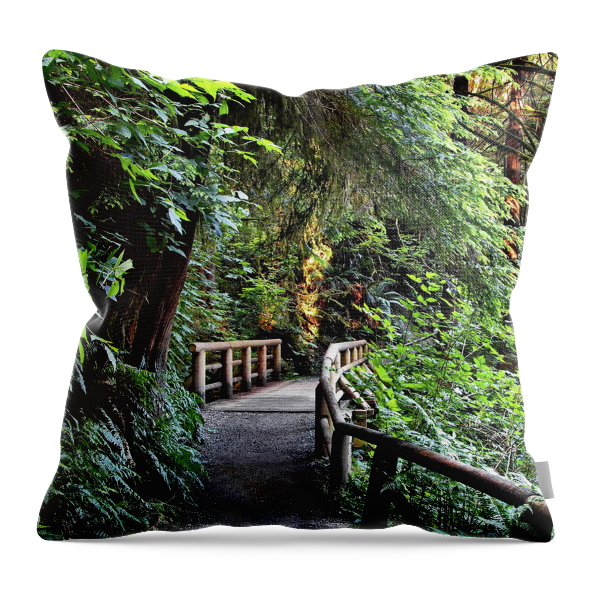 Alex Lyubar Throw Pillow featuring the photograph Wooden bridge on a firest hiking trail by Alex Lyubar