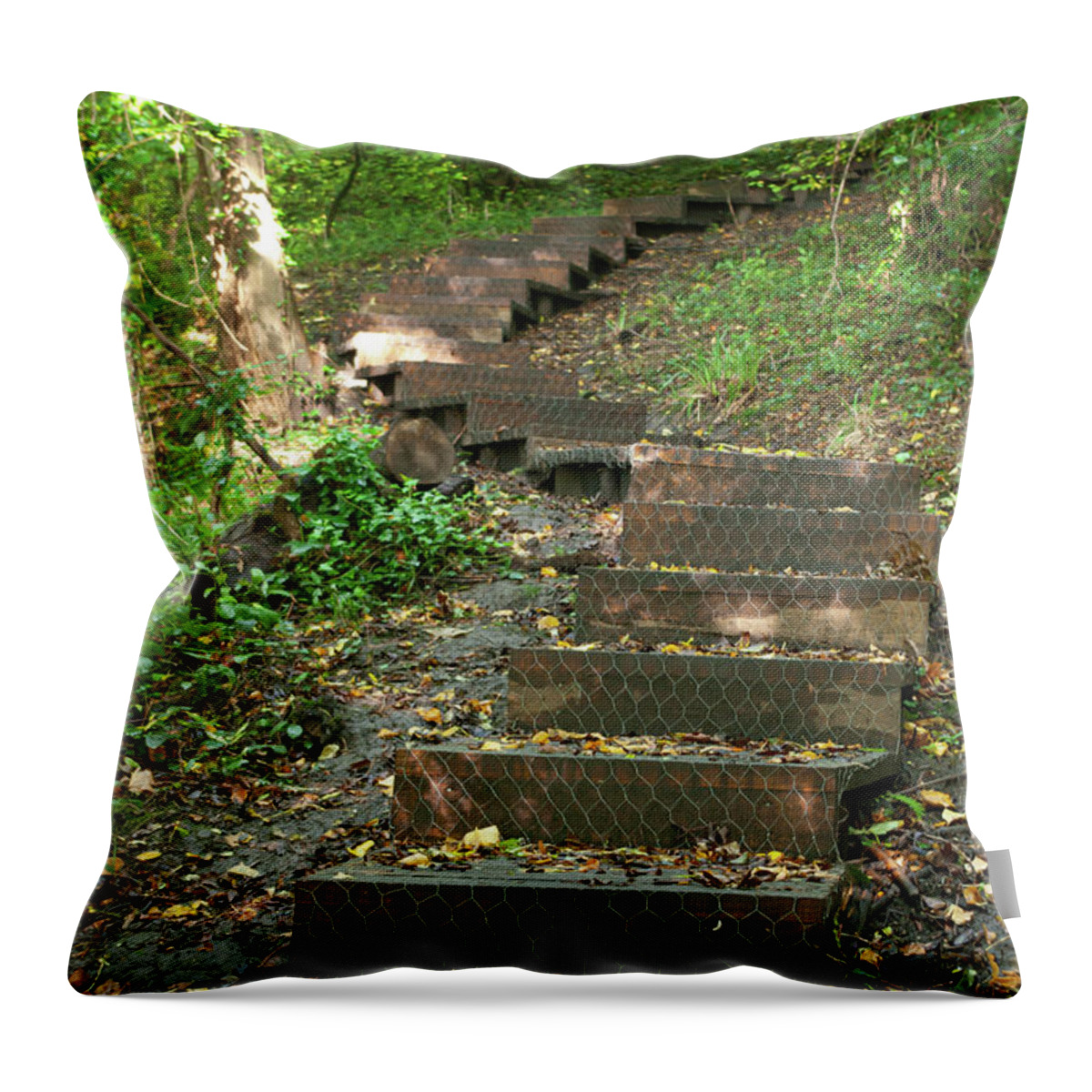 Wood Throw Pillow featuring the photograph Wooden steps in the woods by Average Images