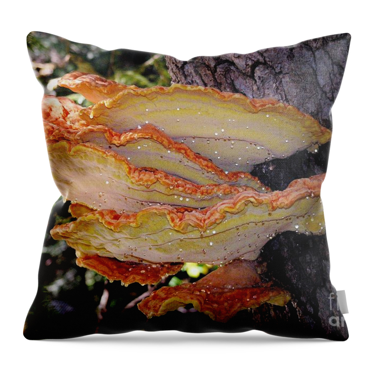 Fungus Throw Pillow featuring the photograph Woodland Art by Kimberly Furey