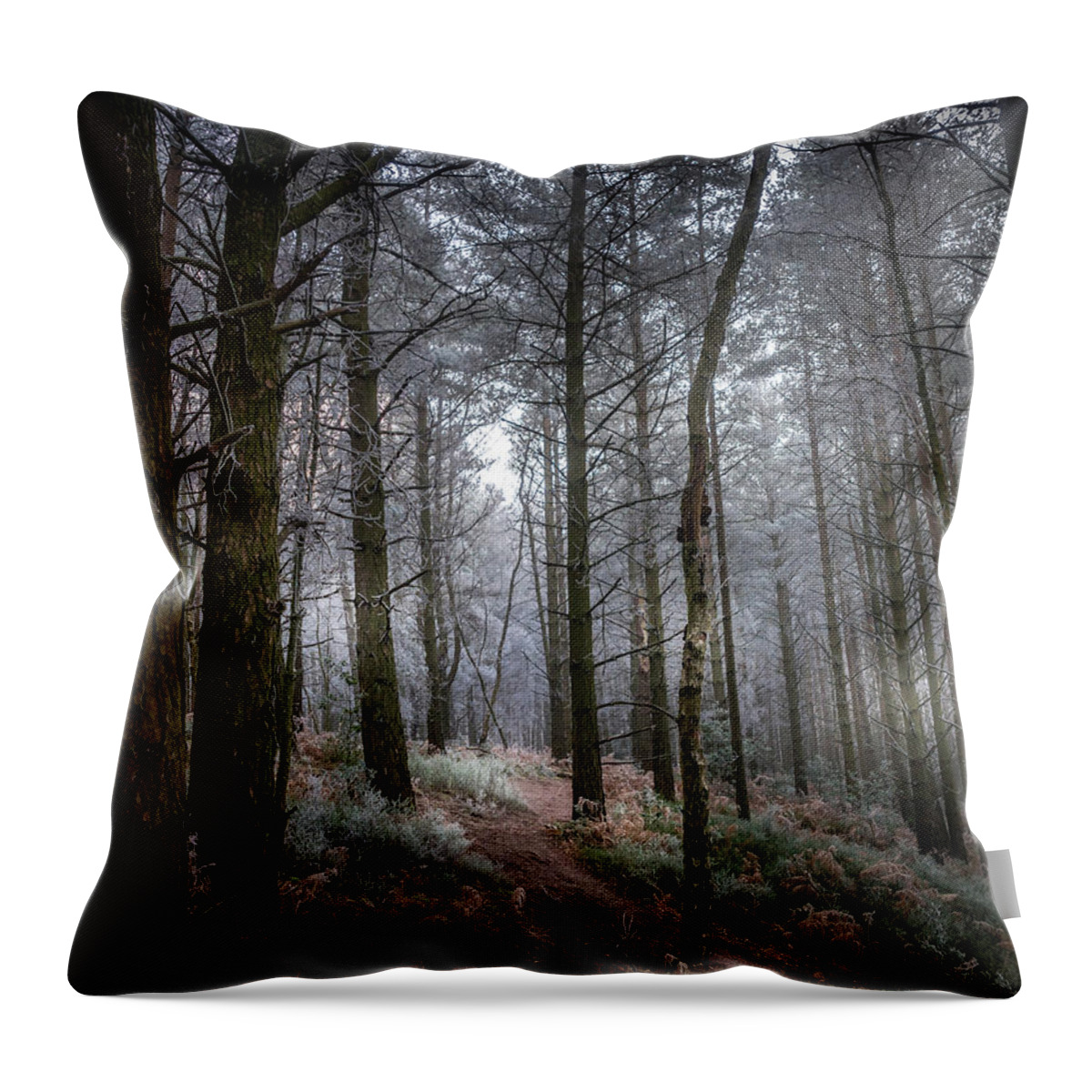 Woodland Throw Pillow featuring the photograph Woodland Light by Chris Boulton