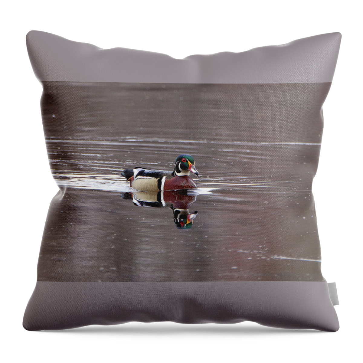 Woody Throw Pillow featuring the photograph Woody Playing by David Kipp