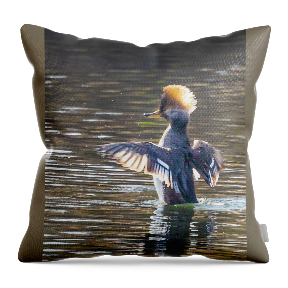Boise Idaho Throw Pillow featuring the photograph Working Out by Mark Mille