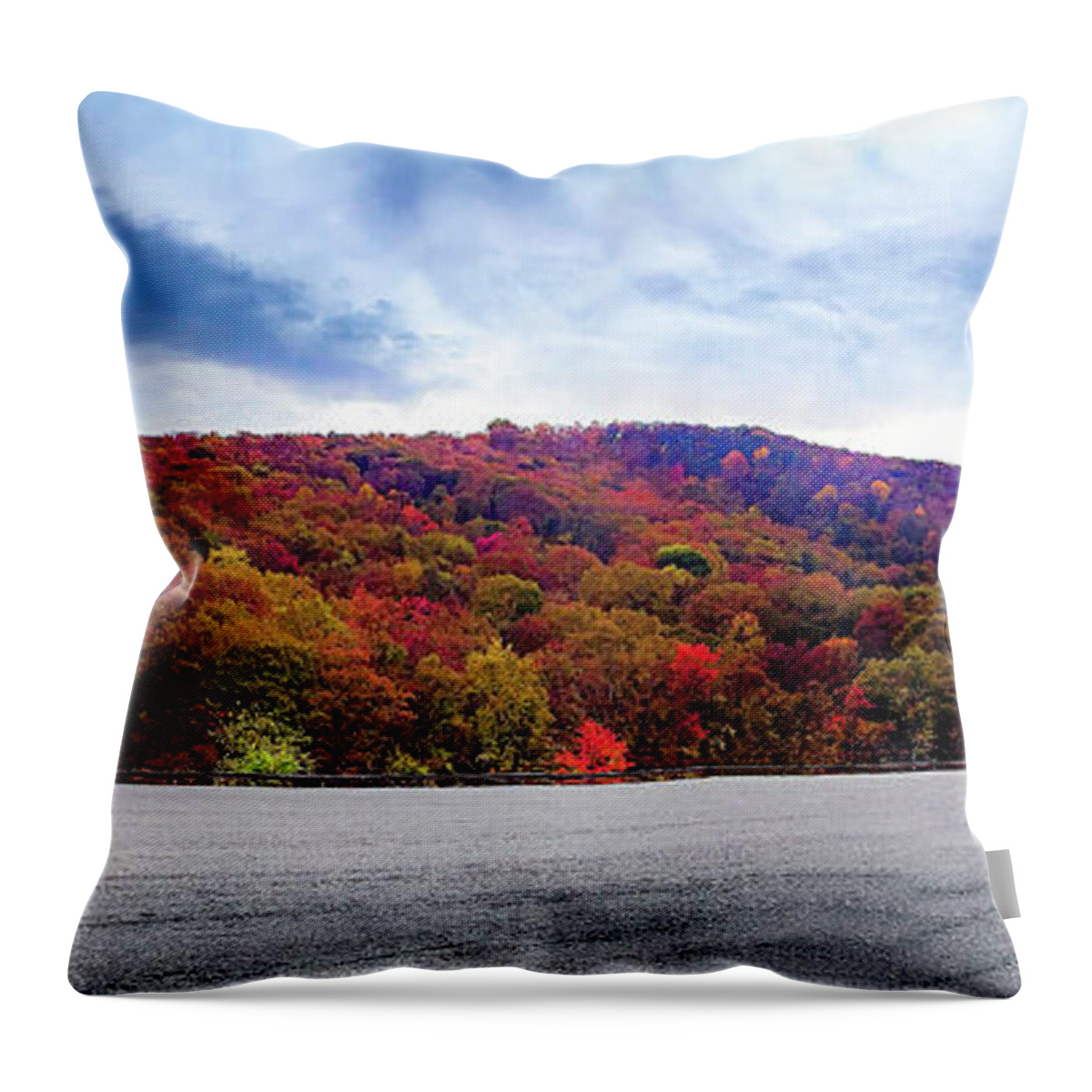 Fall Colors Throw Pillow featuring the photograph WV Scenic Overlook by Lora J Wilson