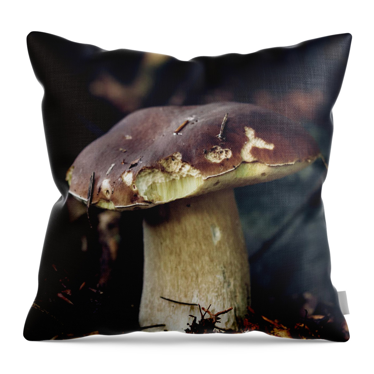 Czech Republic Throw Pillow featuring the photograph Xerocomus subtomentosus in a beautiful barley fungus. Rooted in deciduous vegetation. Autumn atmosphere. Brown and yellow ache between needles by Vaclav Sonnek