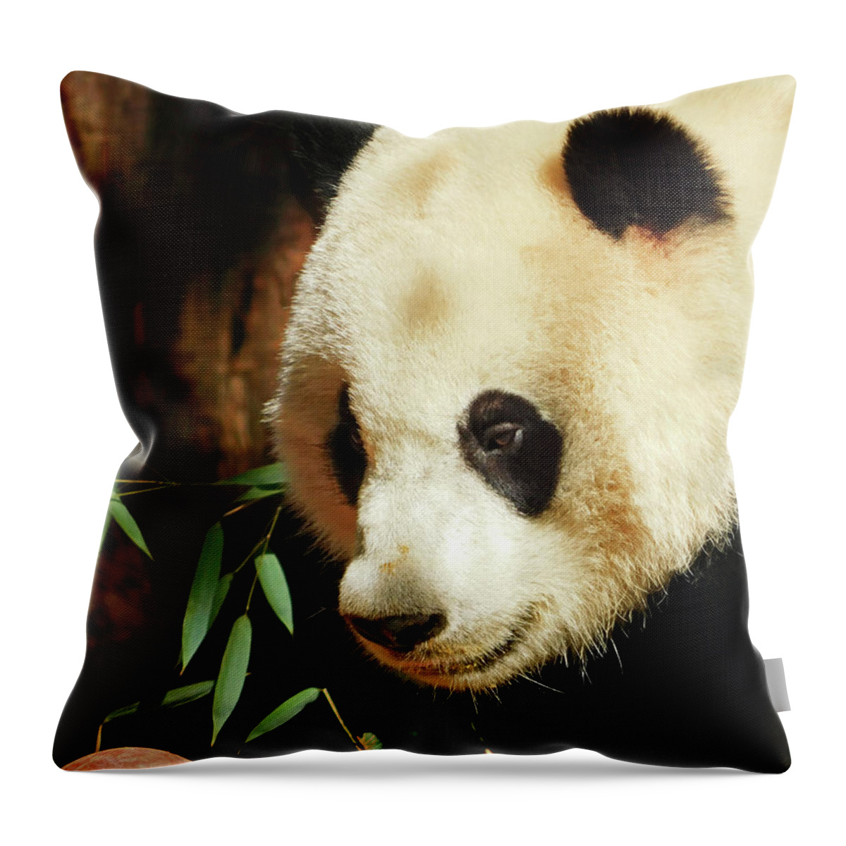 Giant Pandas Throw Pillow featuring the photograph Xiao Qi Ji Out and About by Emmy Marie Vickers