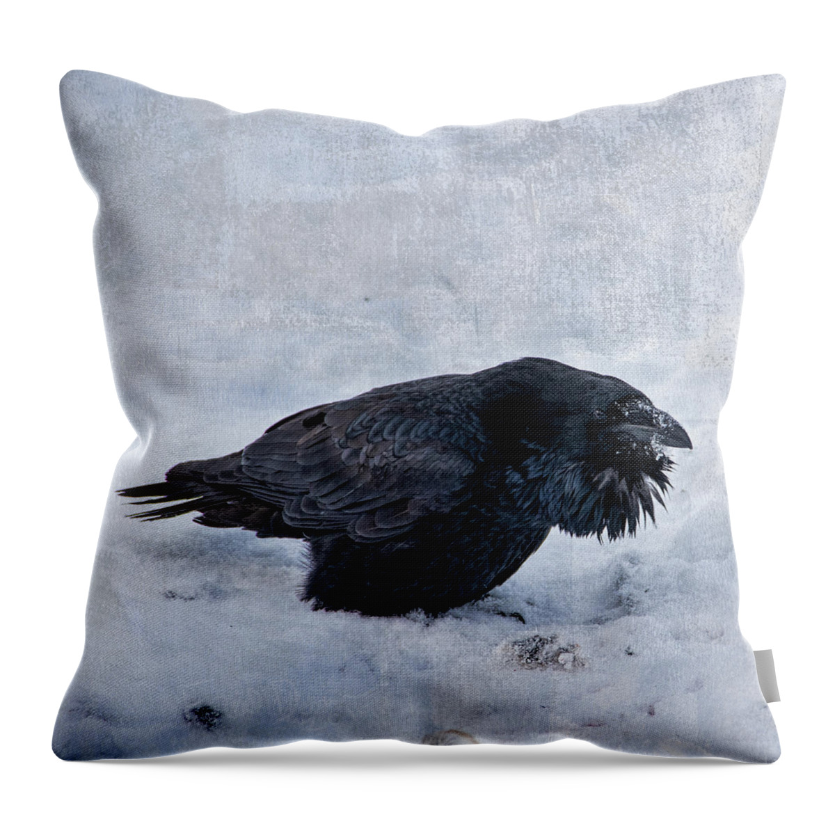 Alaska Throw Pillow featuring the photograph Yard Bird by Fred Denner
