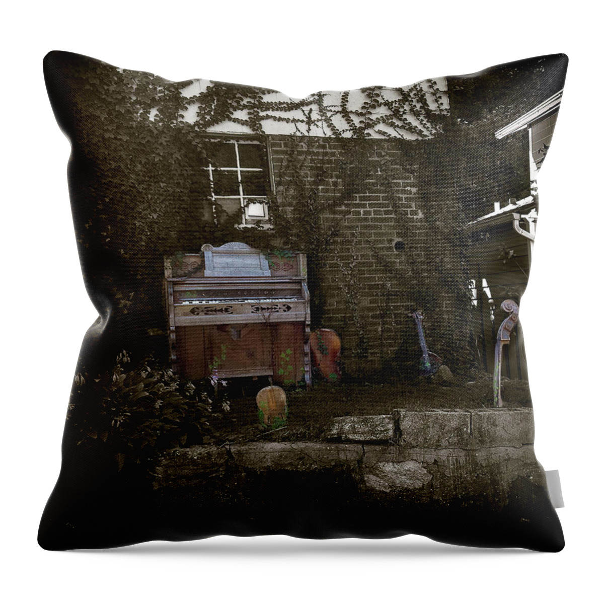 Music Throw Pillow featuring the photograph Yard Music by Wayne King