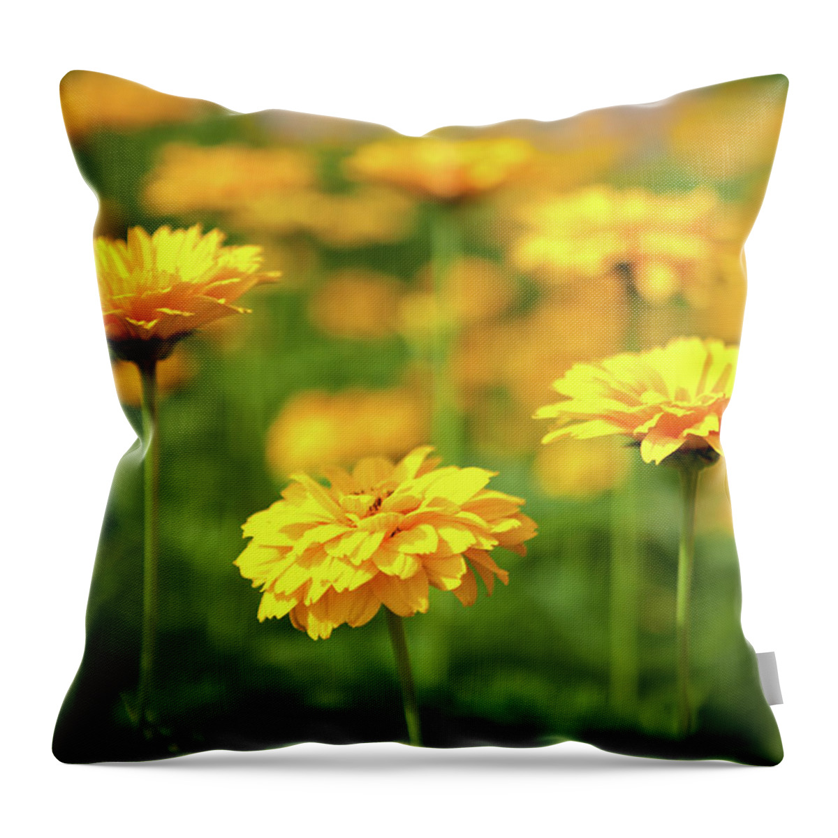 Yellow Throw Pillow featuring the photograph Yeah, They Were All Yellow by Rich S