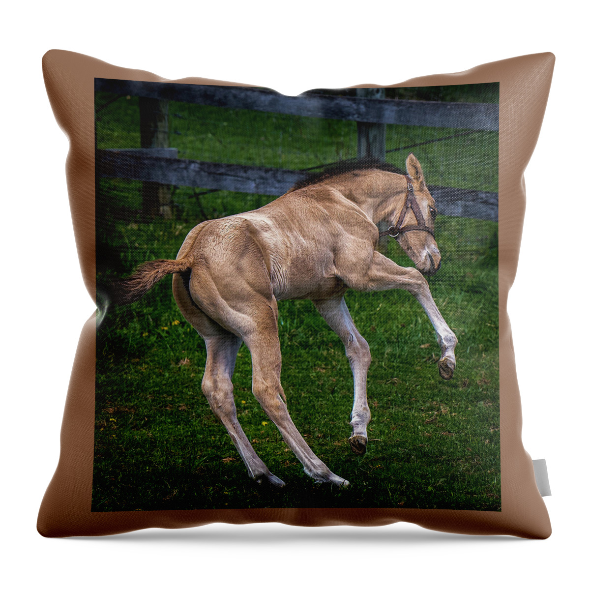 Animals Throw Pillow featuring the photograph Yeehaw by Brian Shoemaker