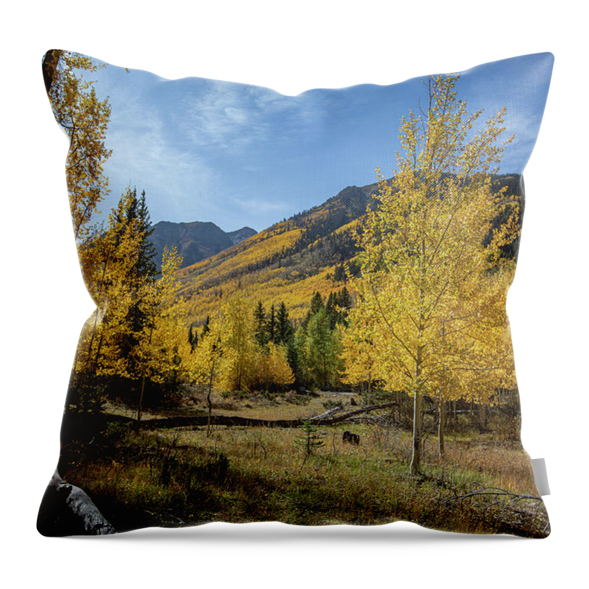 Nature Throw Pillow featuring the photograph Yellow and Blue by Steve Templeton