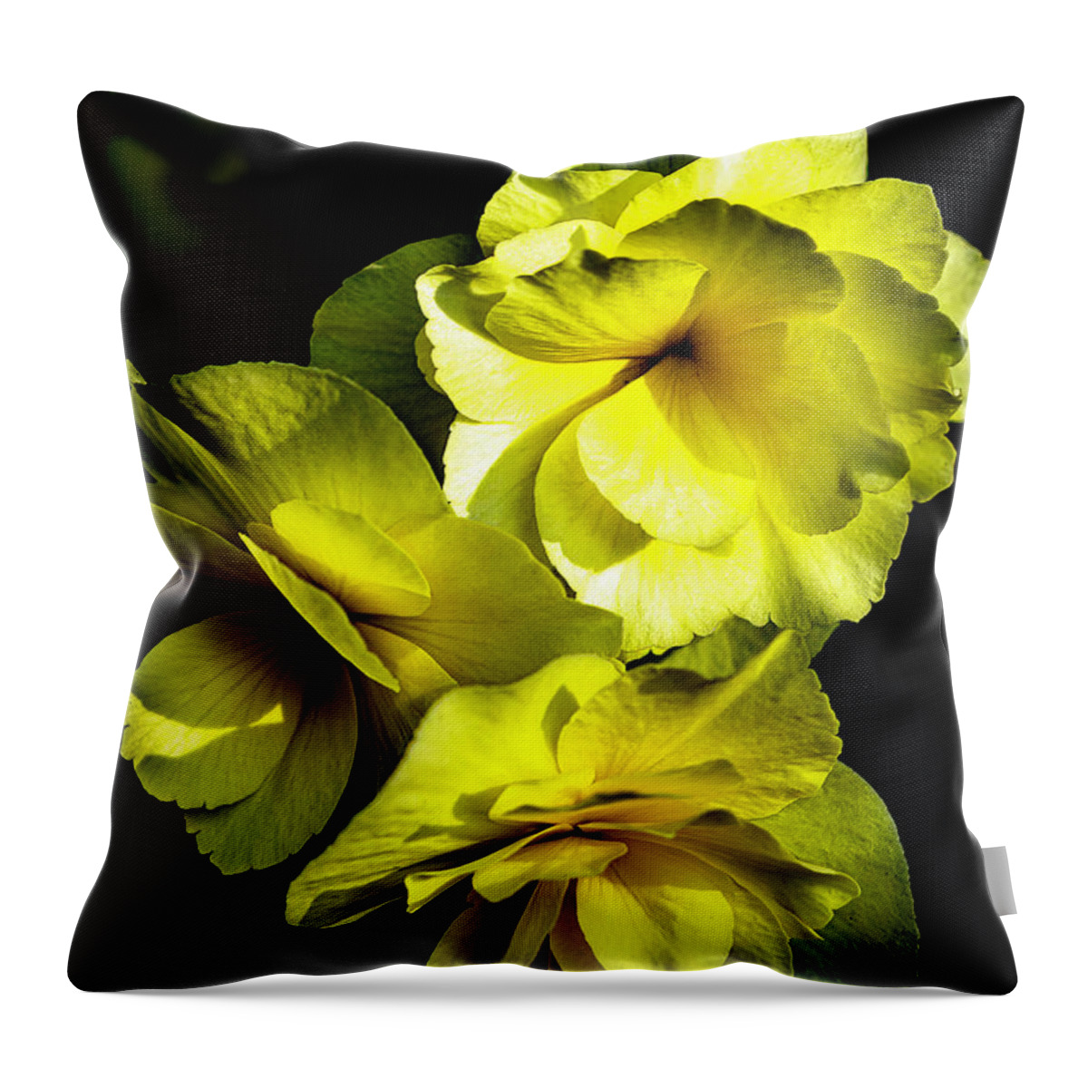 Flower Throw Pillow featuring the photograph Yellow Beauty by Ken Frischkorn