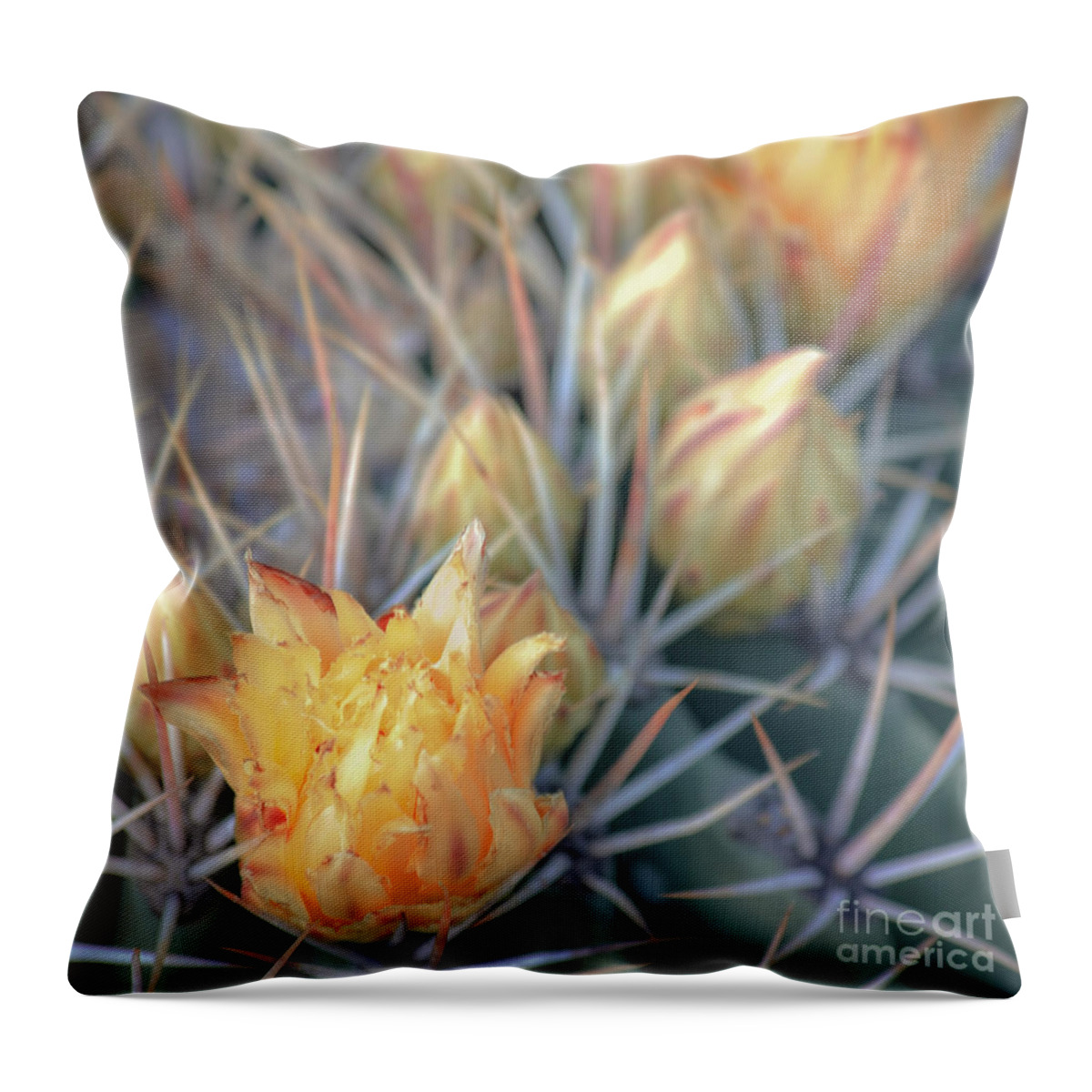 Cactus Flower Throw Pillow featuring the photograph Yellow Cactus Flower with Buds by Elisabeth Lucas