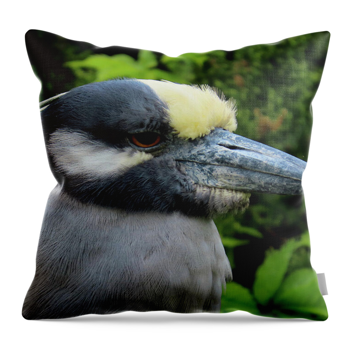 Birds Throw Pillow featuring the photograph Yellow-crowned Night Heron at Ocean City Rookery by Linda Stern