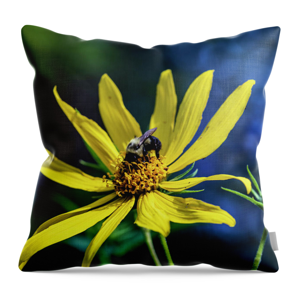 Bee Throw Pillow featuring the photograph Yellow Flower with Bee by Amelia Pearn